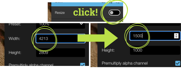 Squoosh Resize dialog showing how to change the width of an image